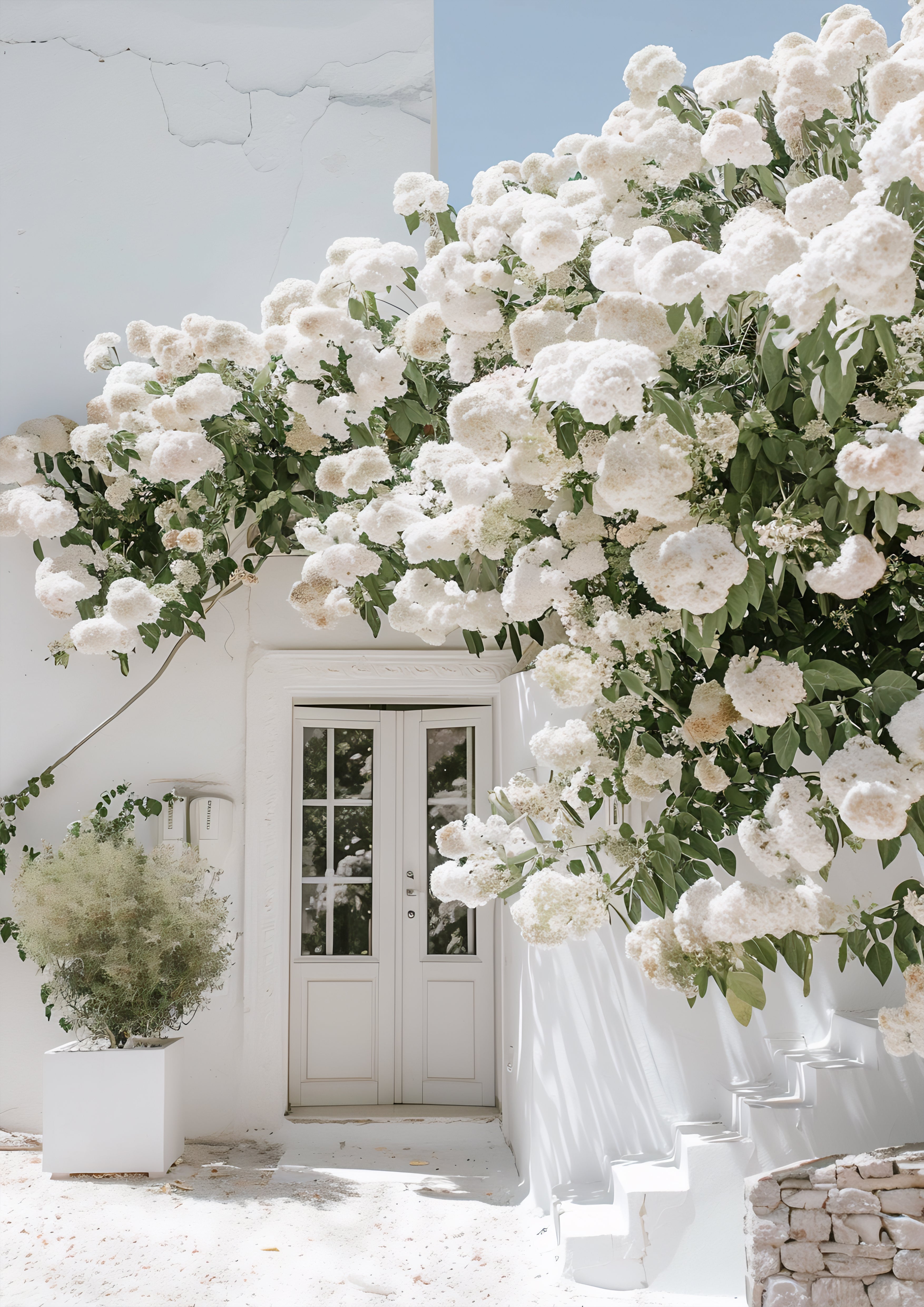 Blossoming Entrance