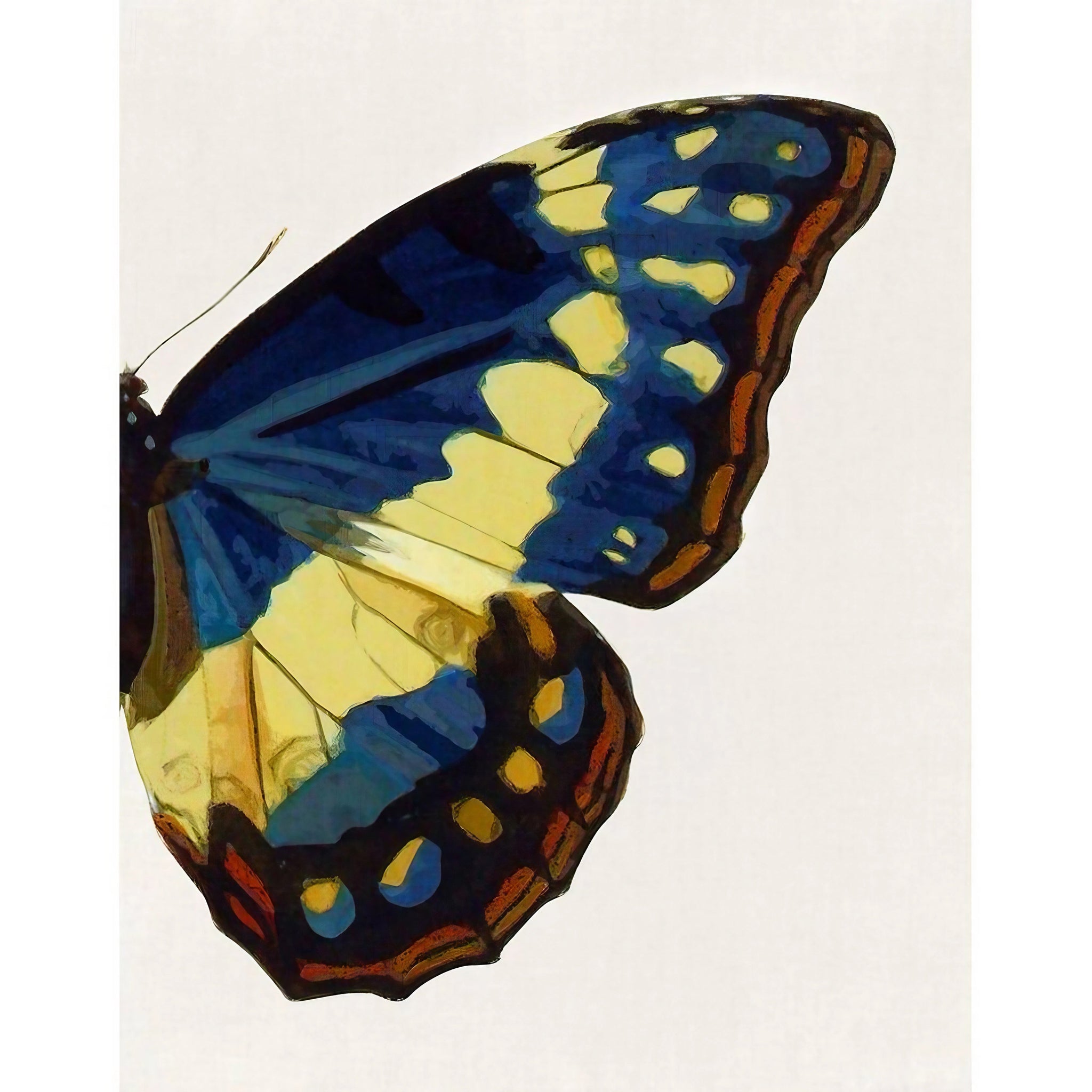 Blue And Yellow Butterfly Modern Wall Art Set of 2 Wall Frames