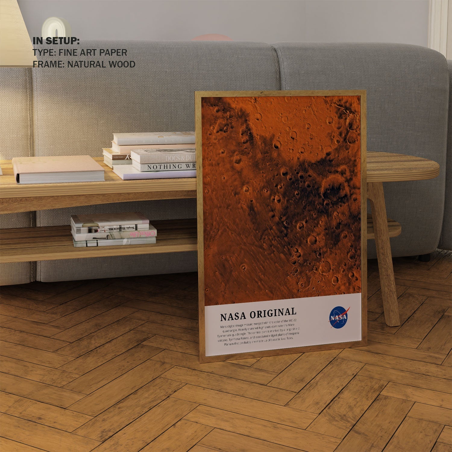 Mars-The Future, NASA Art Posters