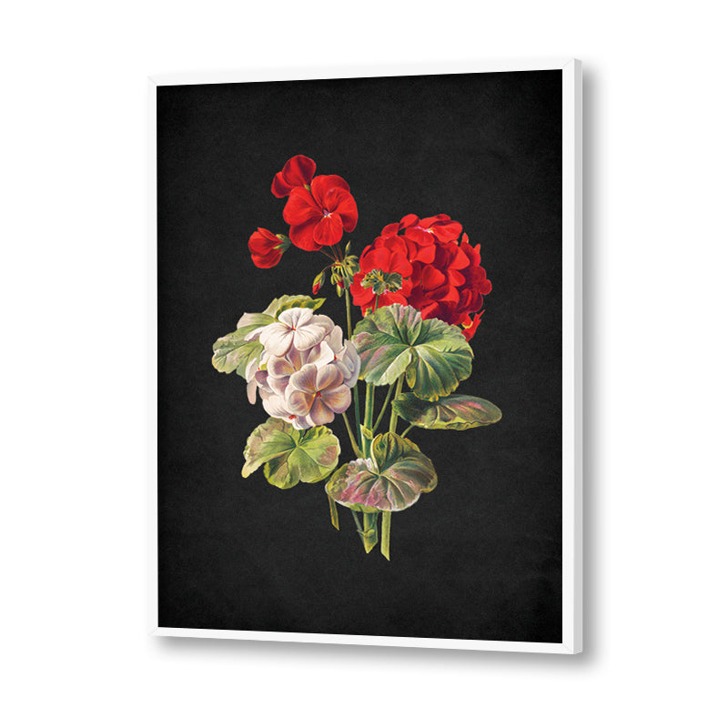 Noir Bloom 2