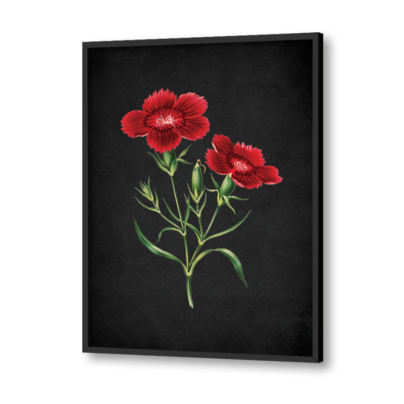 Noir Bloom 3