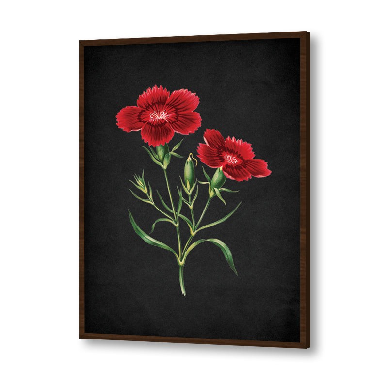 Noir Bloom 3