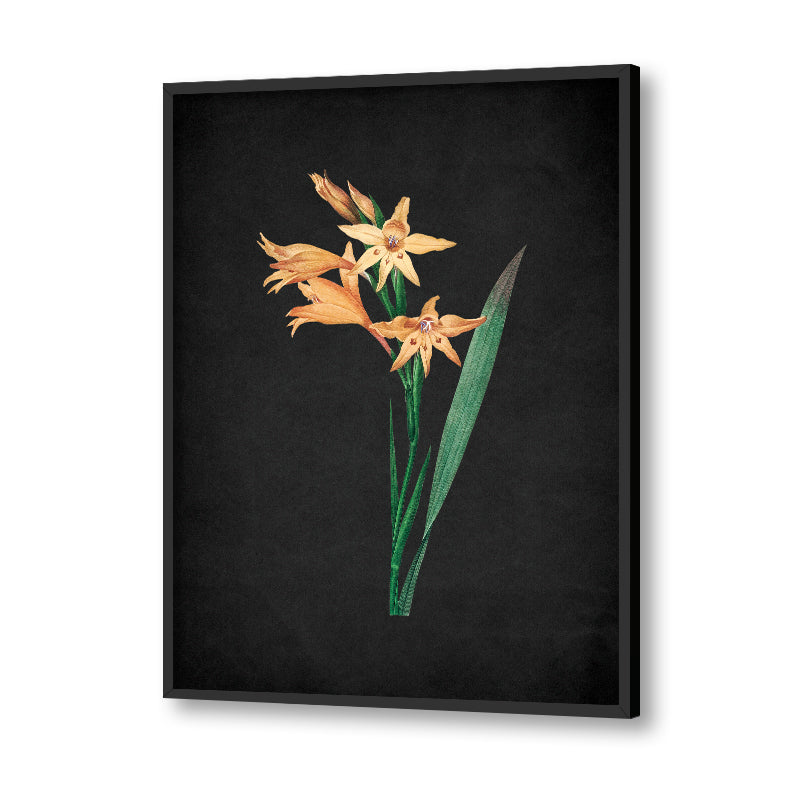 Noir Bloom 5