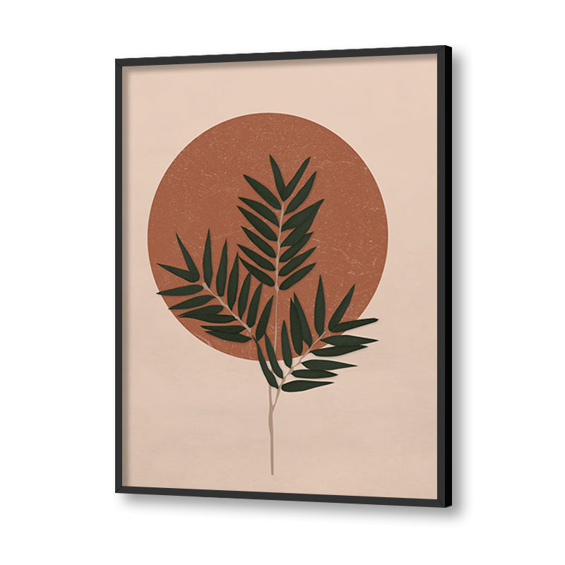 Fern & Sun