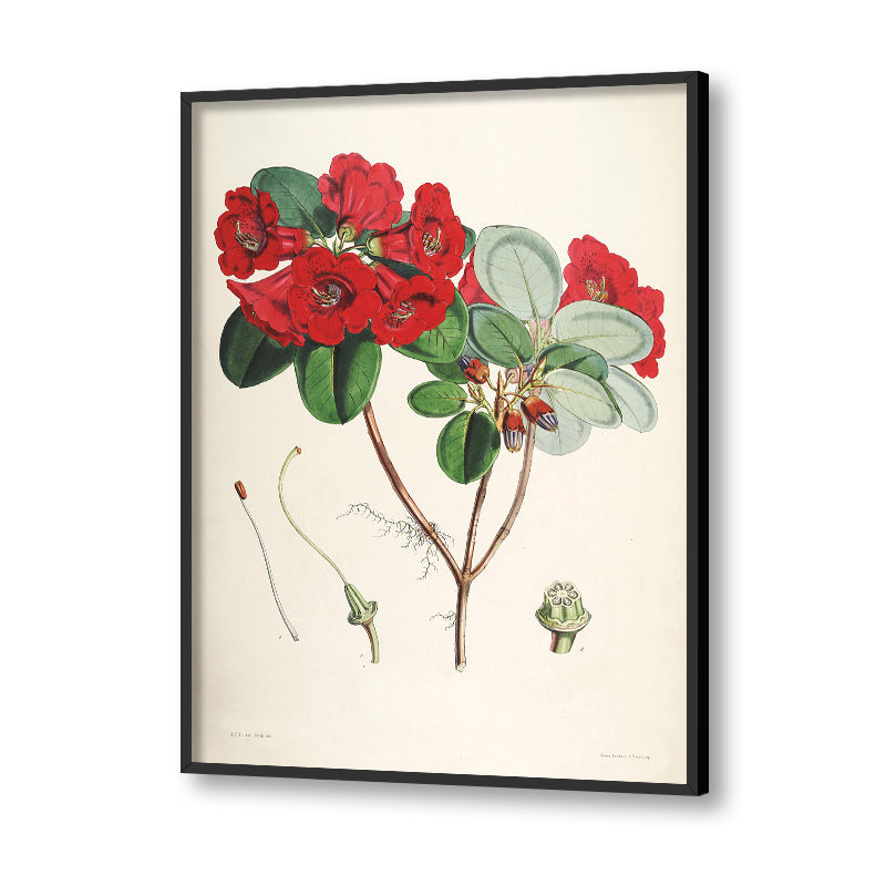 Botanical 10