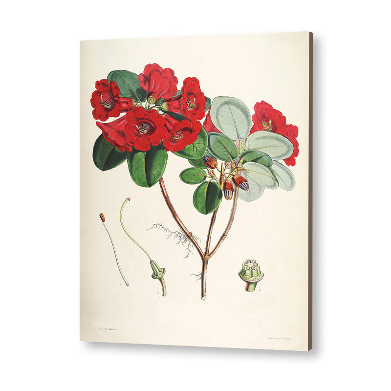 Botanical 10