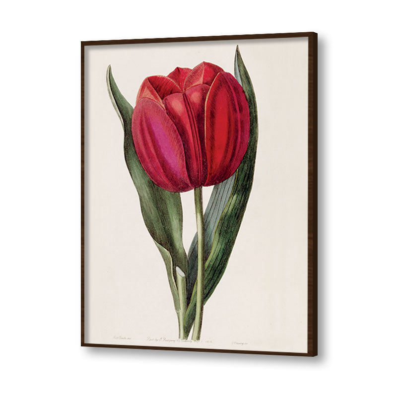 Botanical 1
