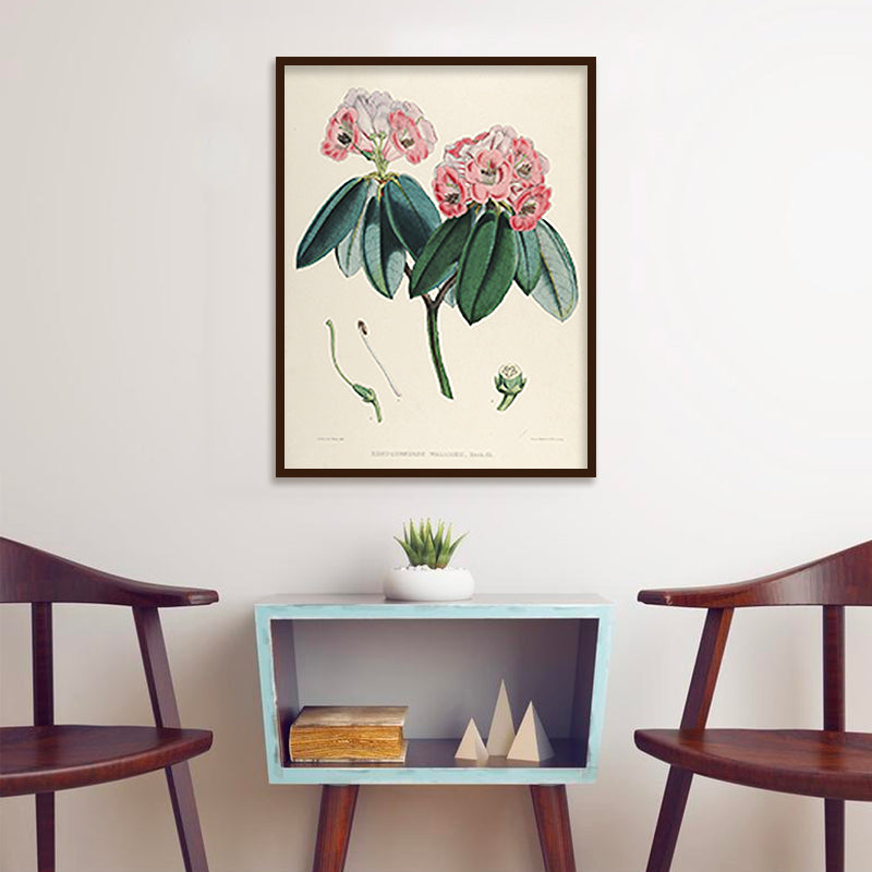 Botanical 2