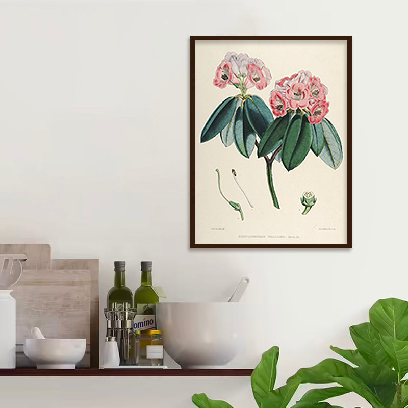 Botanical 2