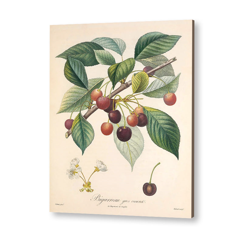 Botanical 5