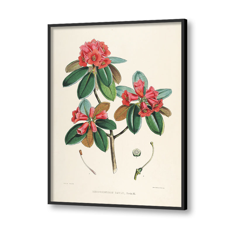 Botanical 9