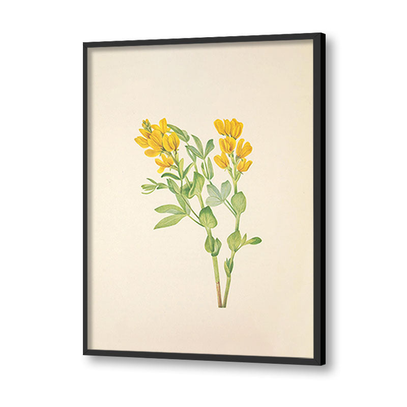 Minimal Botanical 2