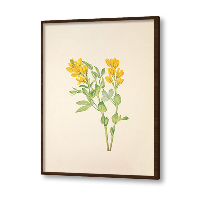 Minimal Botanical 2