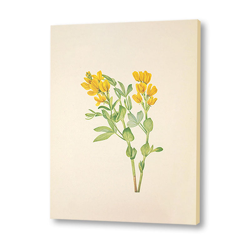 Minimal Botanical 2