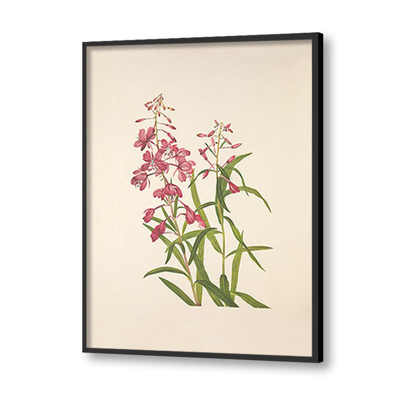 Minimal Botanical 4