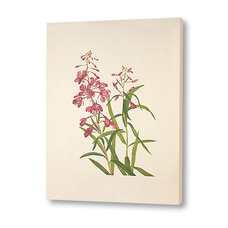 Minimal Botanical 4