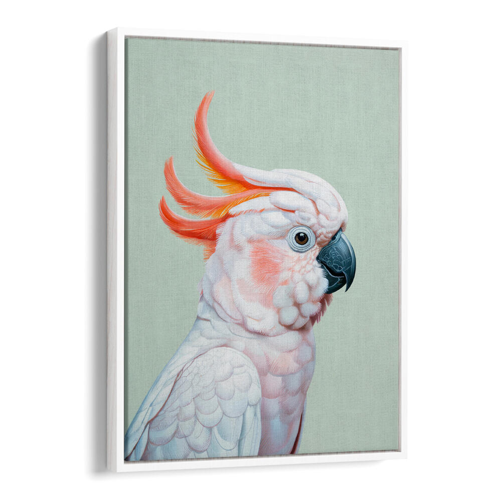 WHITE COCKATOO I , ANIMAL PAINTINGS