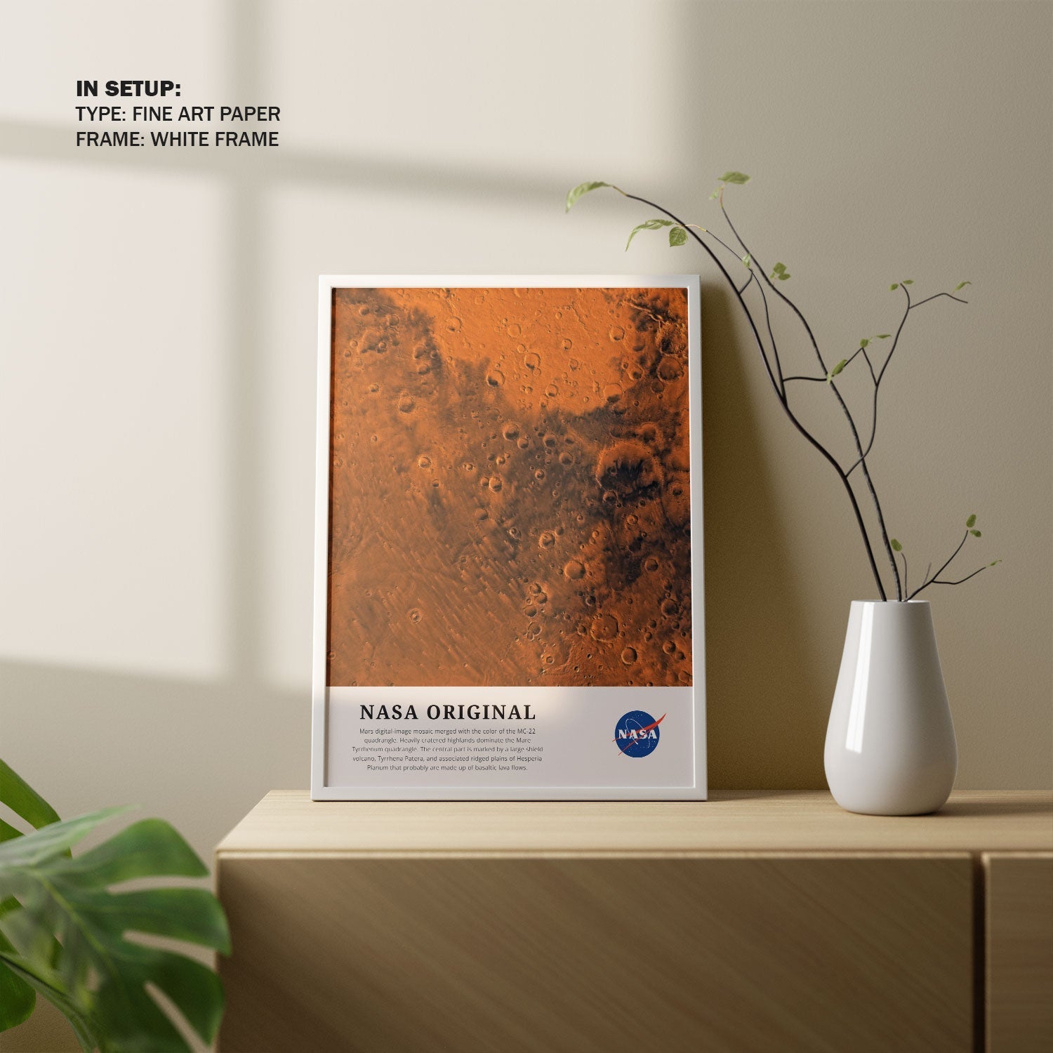 Mars-The Future, NASA Art Posters