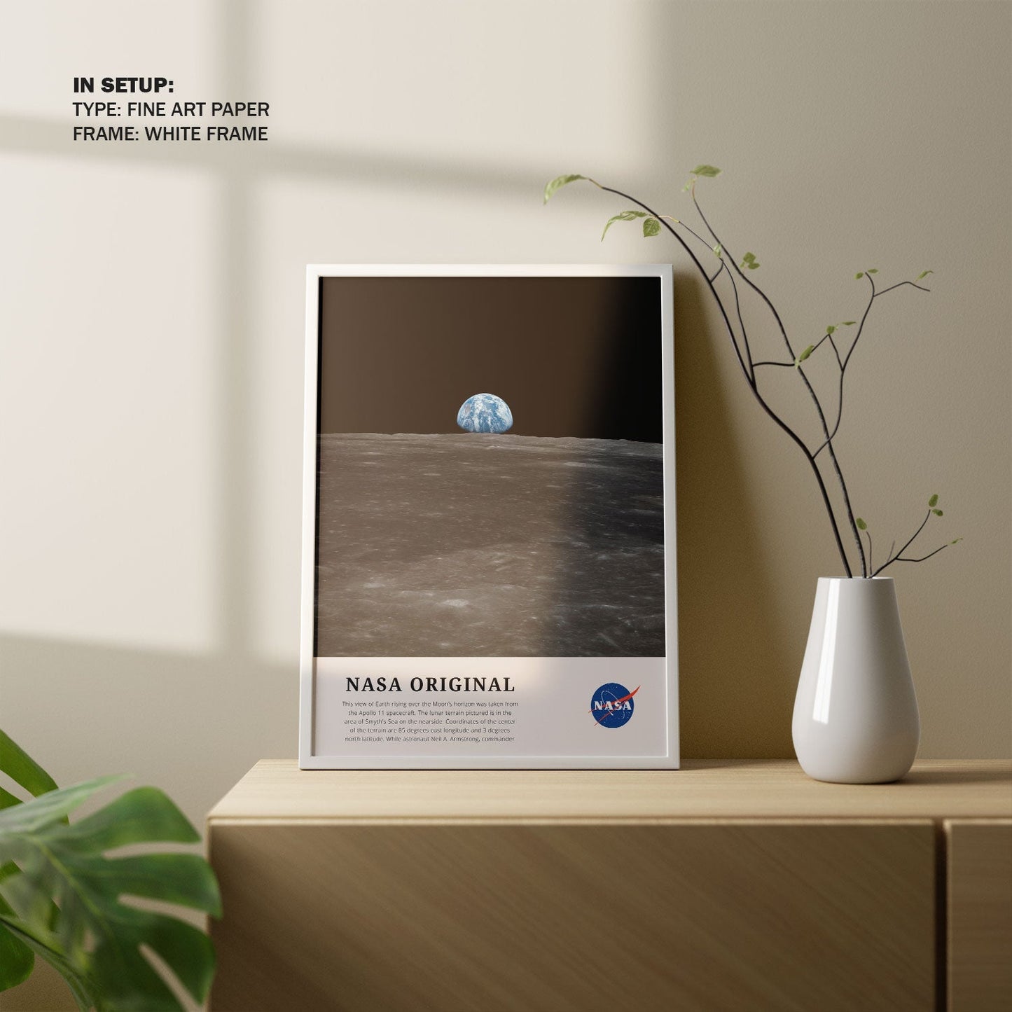 View of Earth, NASA Art Posters