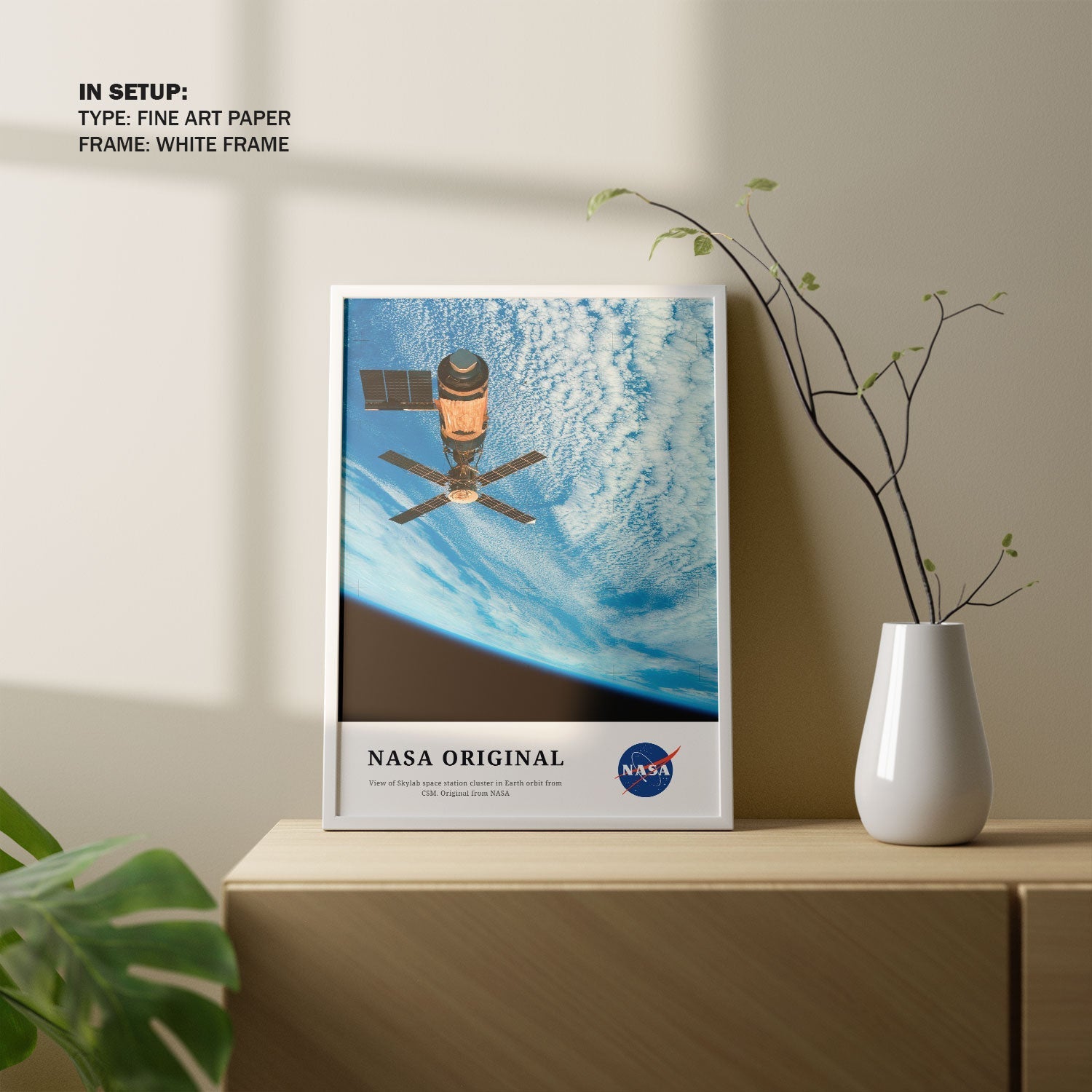 View of Skylab space station, NASA Art Posters