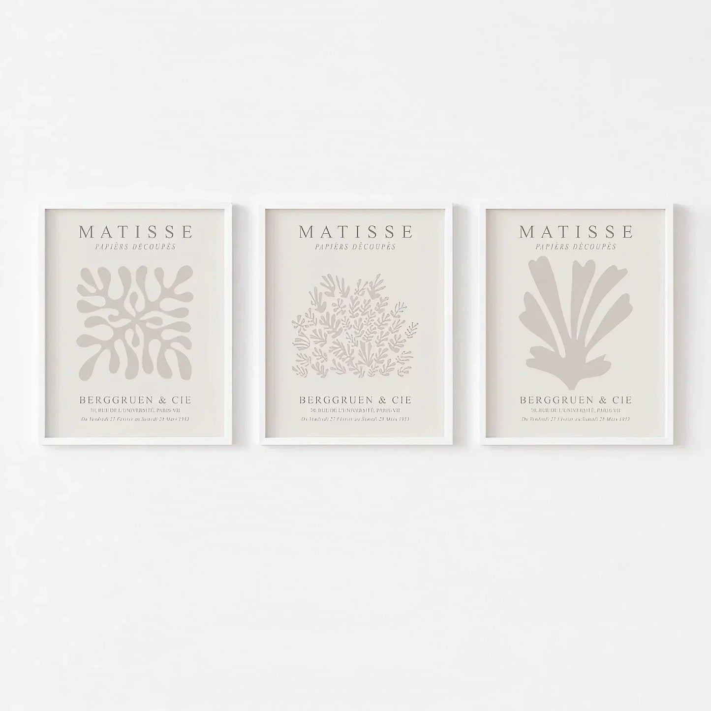 Flower Matisse Wall Art Set of 3 Wall Frames