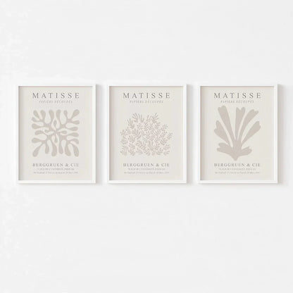 Flower Matisse Wall Art Set of 3 Wall Frames