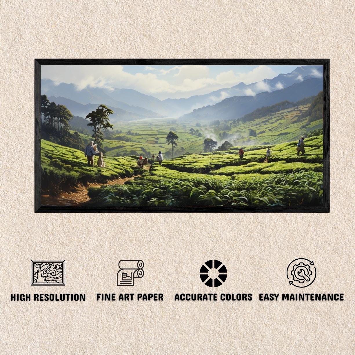 Tea Gardens Munnar By Panoramic India