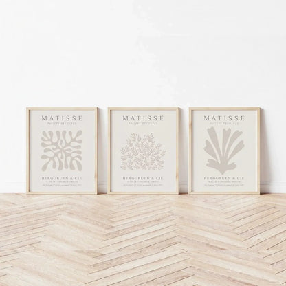 Flower Matisse Wall Art Set of 3 Wall Frames