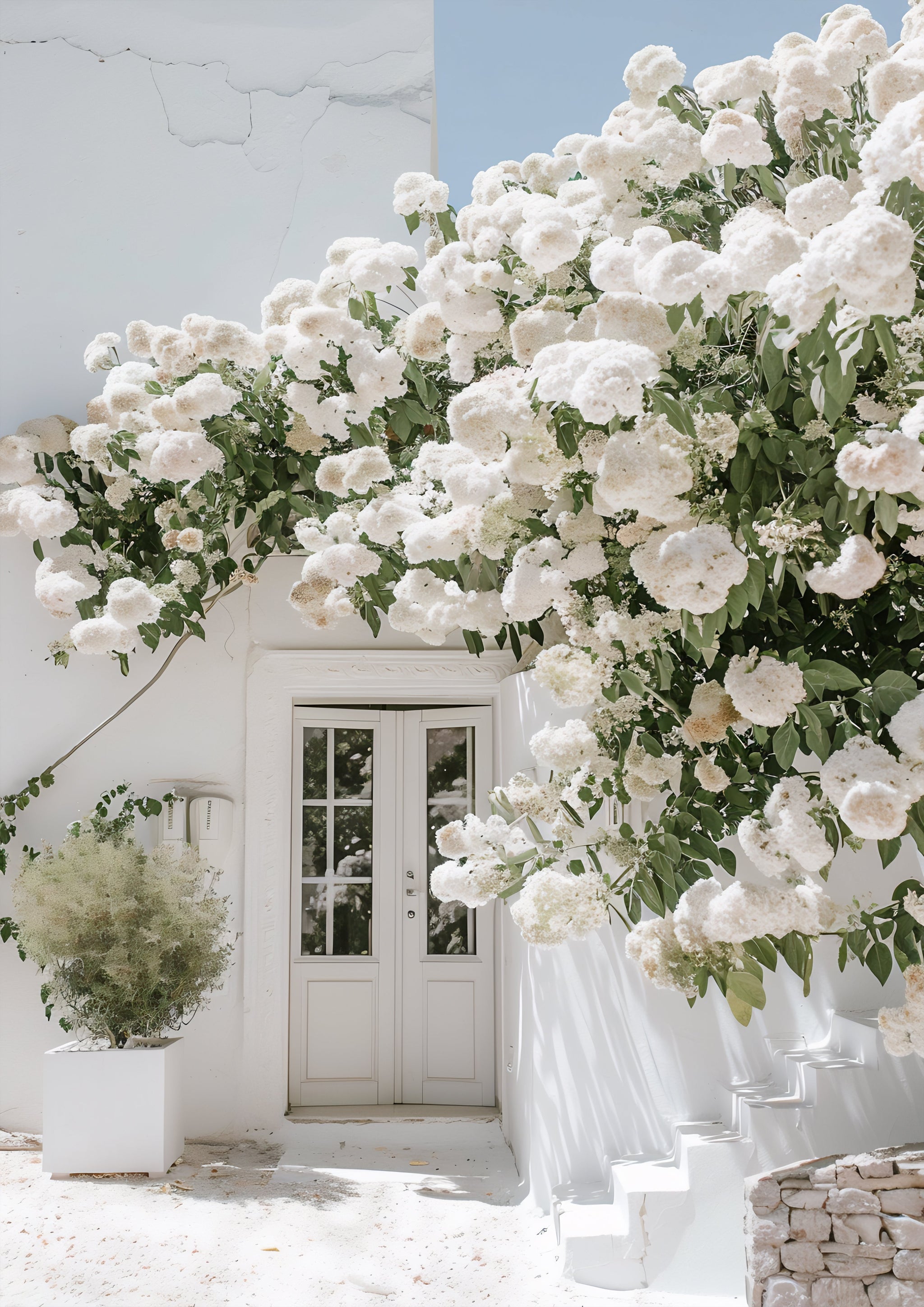 Blossoming Entrance