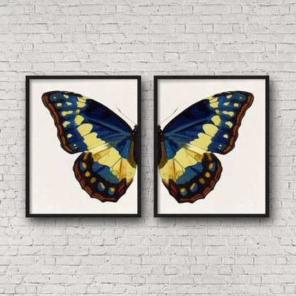 Blue And Yellow Butterfly Modern Wall Art Set of 2 Wall Frames