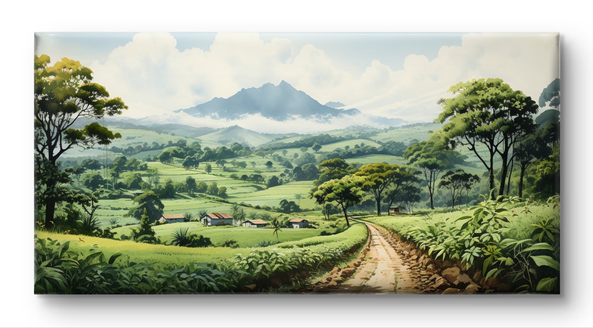 Coffee Plantations in Coorg By Panoramic India