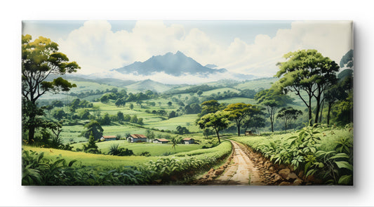 Coffee Plantations in Coorg By Panoramic India