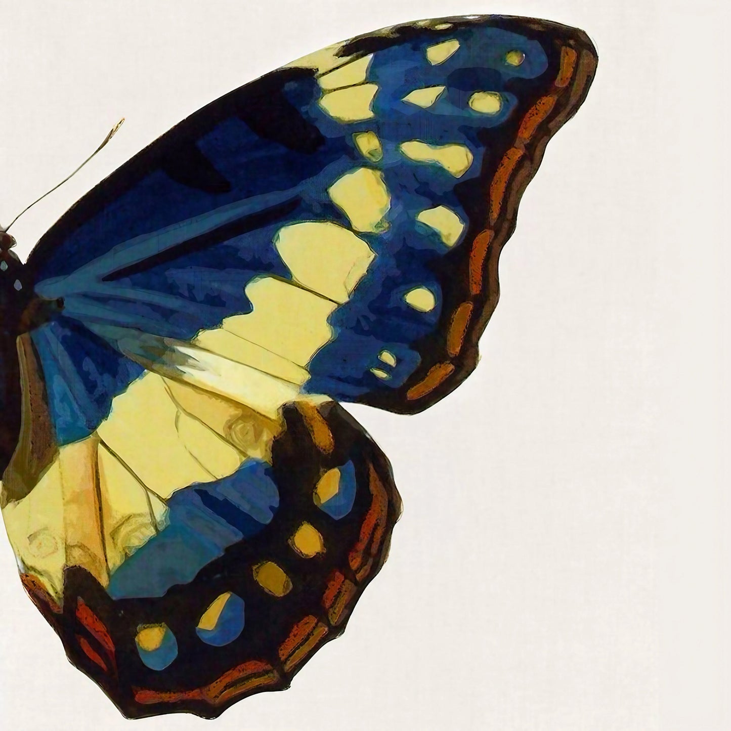 Blue And Yellow Butterfly Modern Wall Art Set of 2 Wall Frames