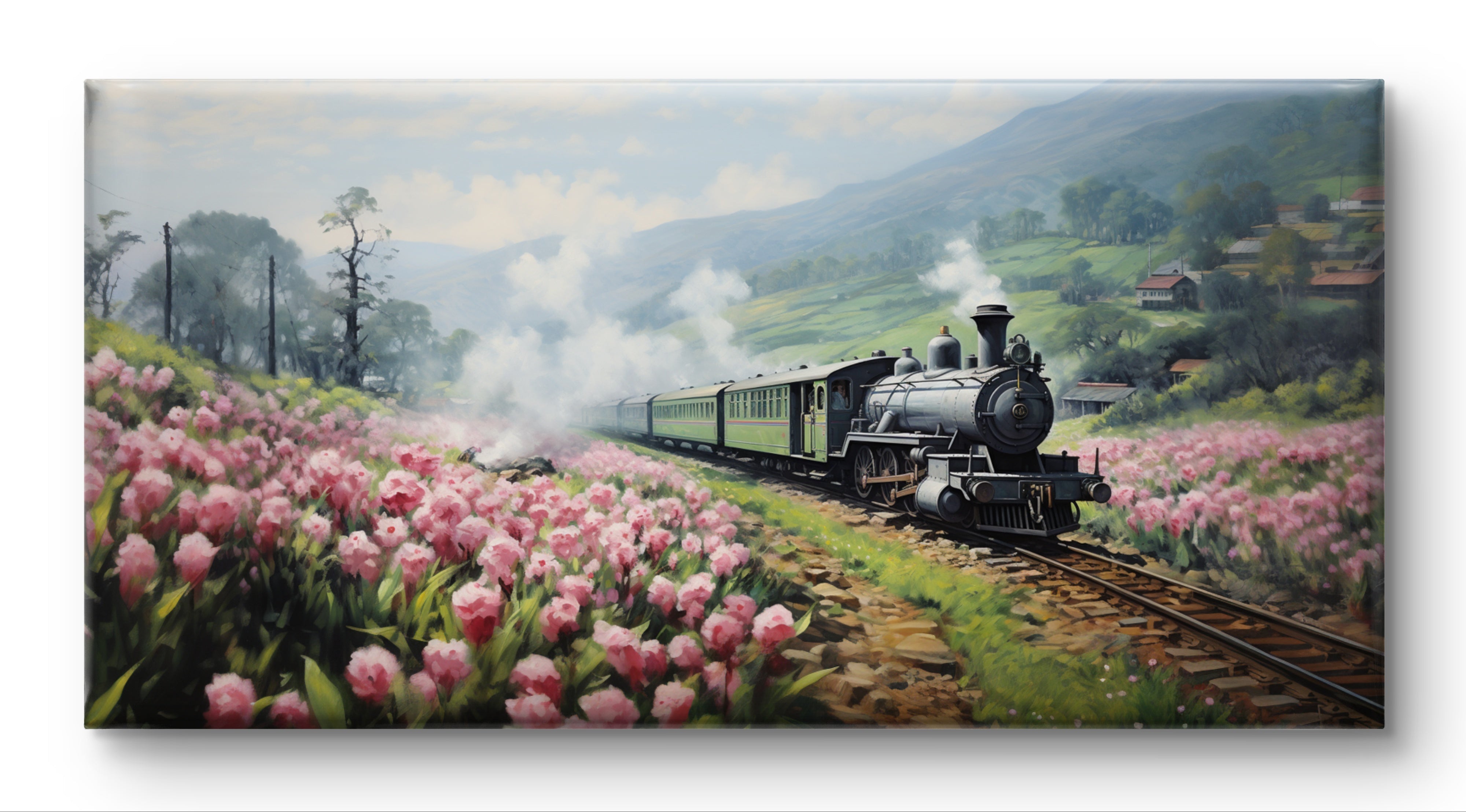 Ooty Toy Train By Panoramic India