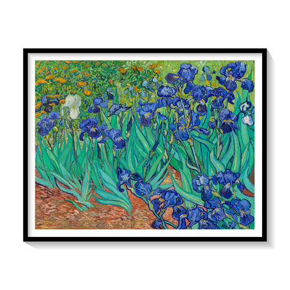 Irises, Van Gogh Painting
