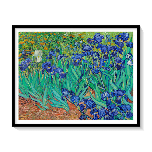 Irises, Van Gogh Painting
