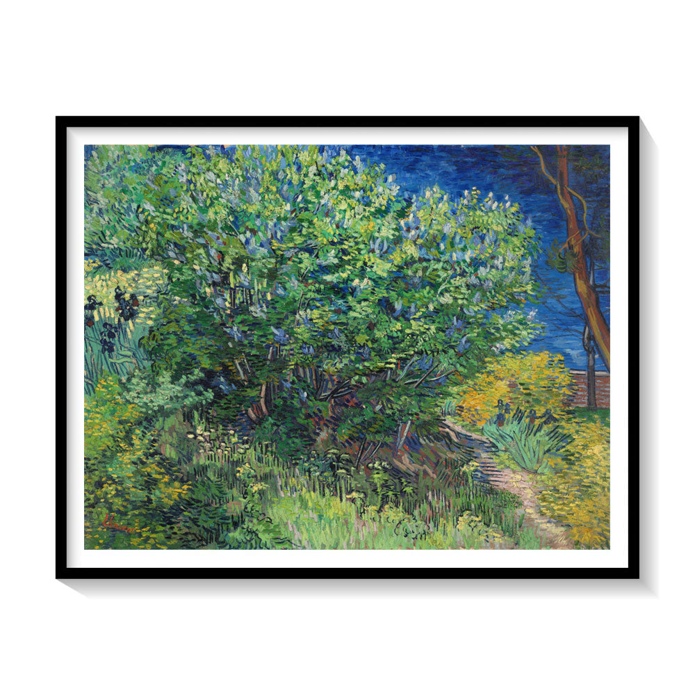 Lilac Bush Van Gogh, Van Gogh Painting