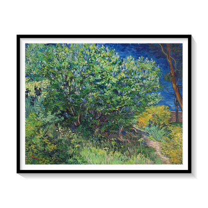Lilac Bush Van Gogh, Van Gogh Painting