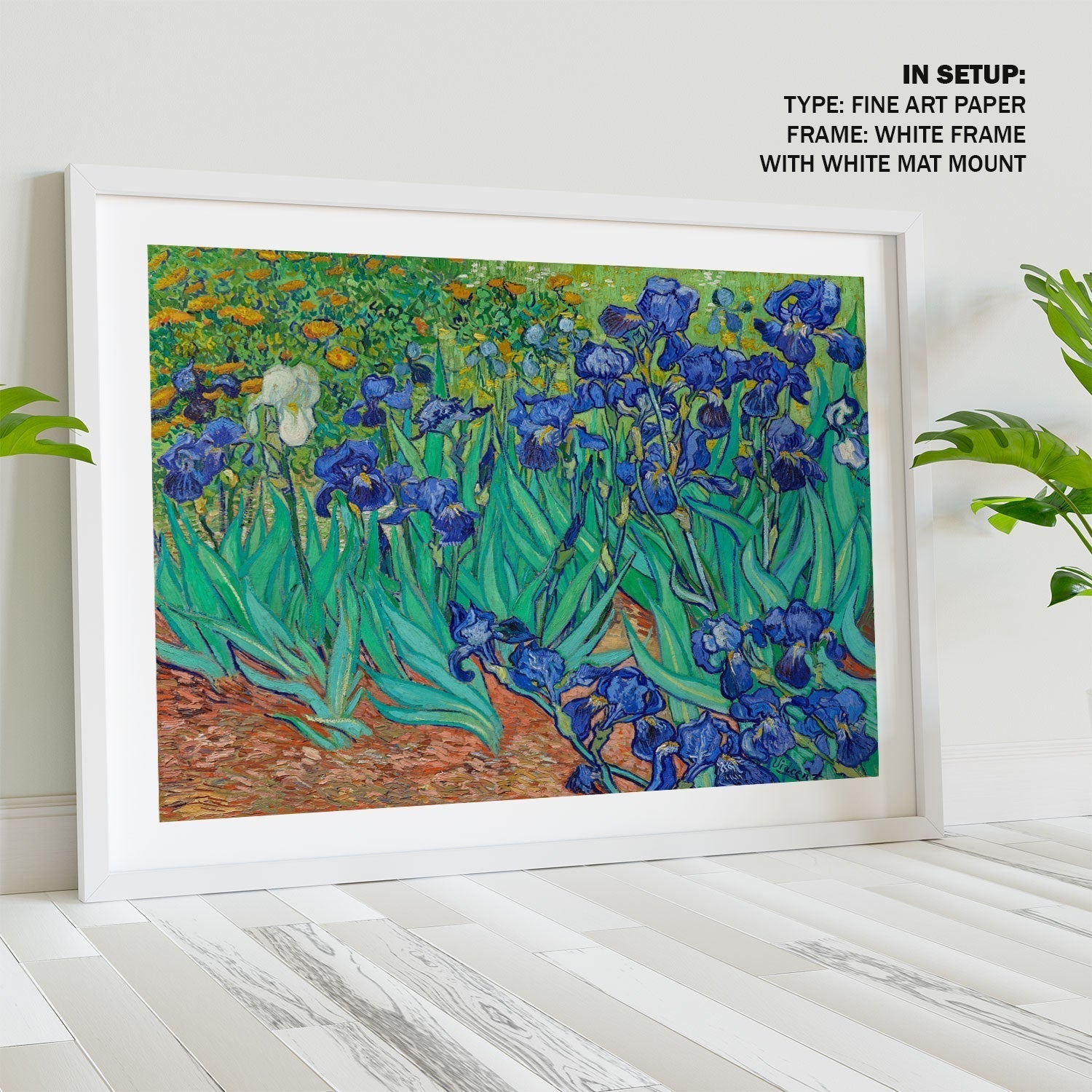 Irises, Van Gogh Painting