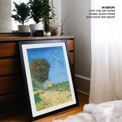 Avenue at Arles with houses, Vincent Van Gogh Painting