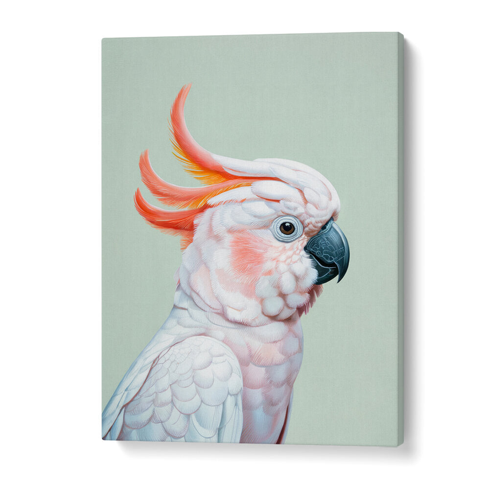 WHITE COCKATOO I , ANIMAL PAINTINGS