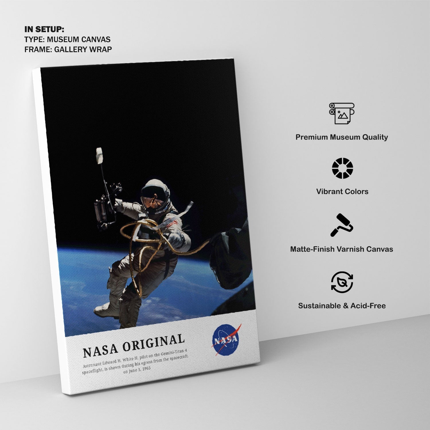 Astronaut on the Gemini-Titan 4, NASA Art Posters