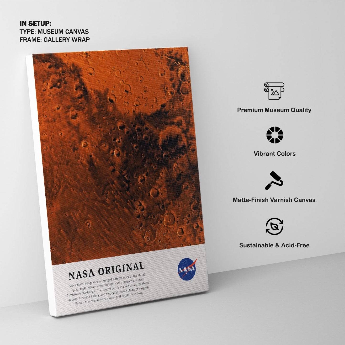 Mars-The Future, NASA Art Posters