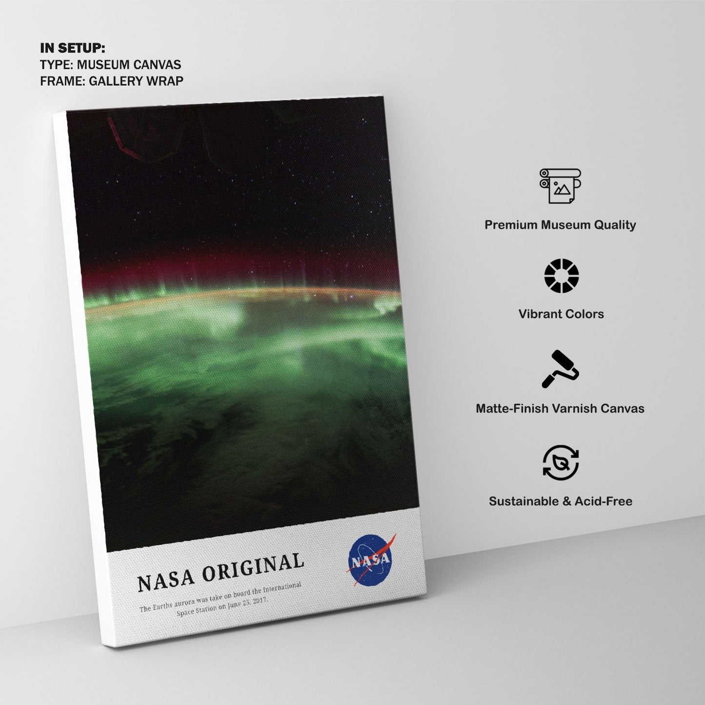 The Earths aurora, NASA Art Posters