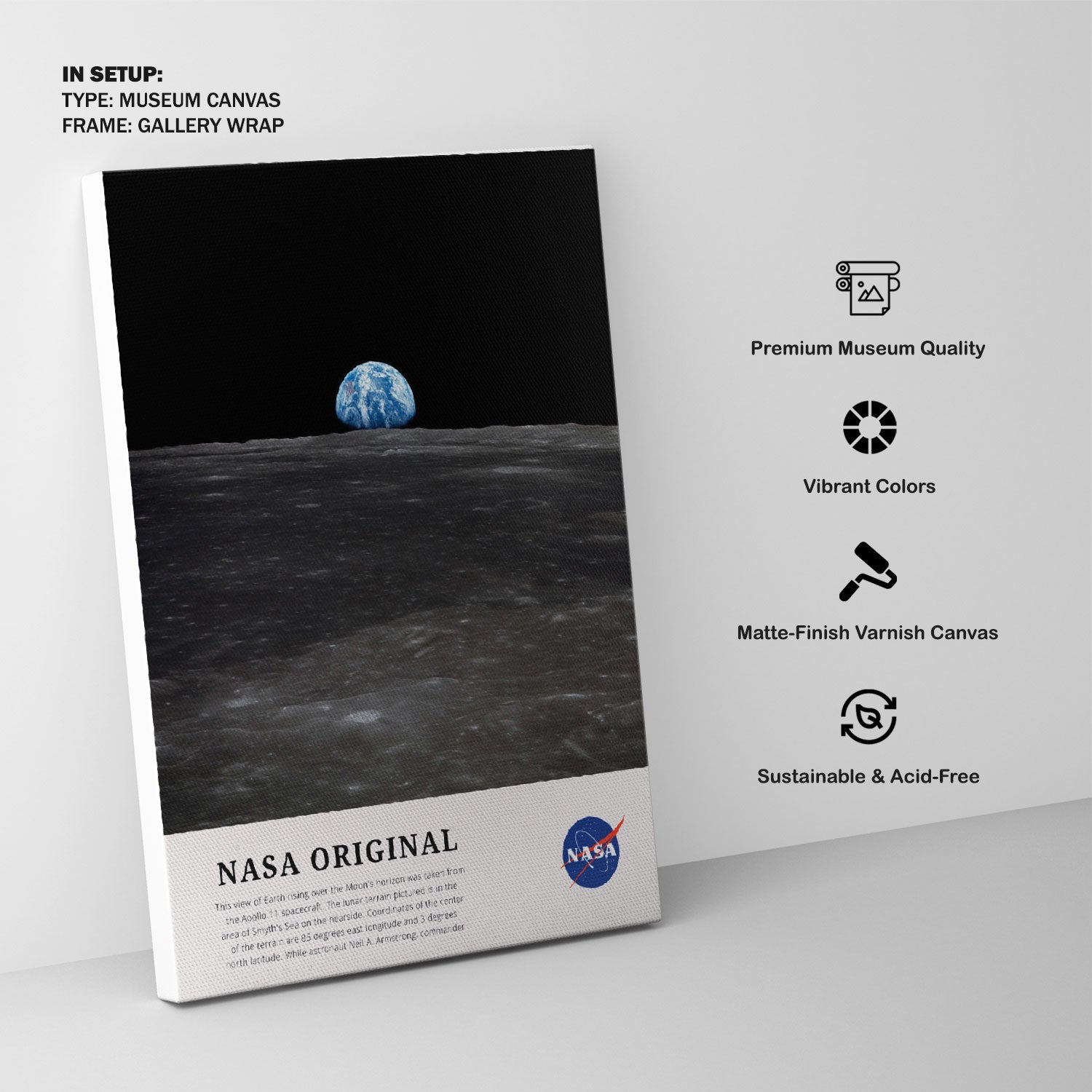 View of Earth, NASA Art Posters