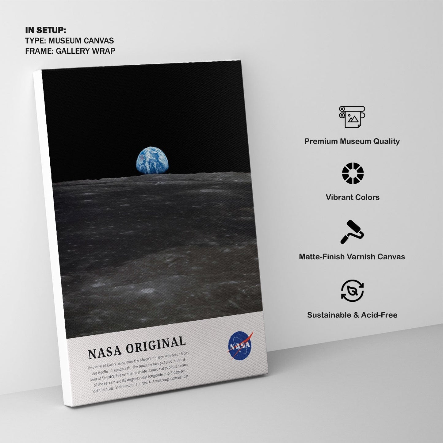 View of Earth, NASA Art Posters