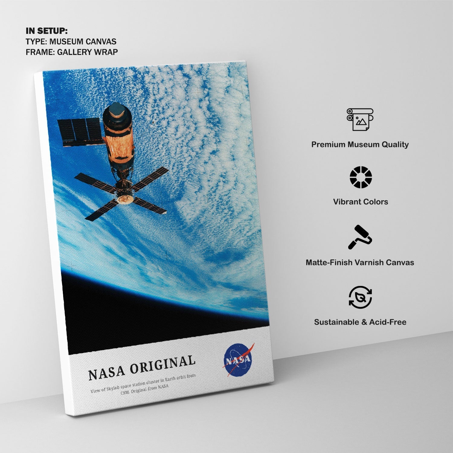 View of Skylab space station, NASA Art Posters