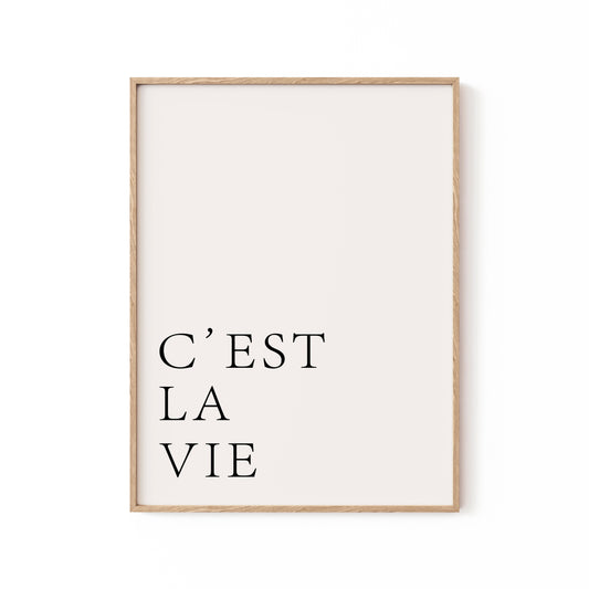 C'est La Vie, Motivational Poster