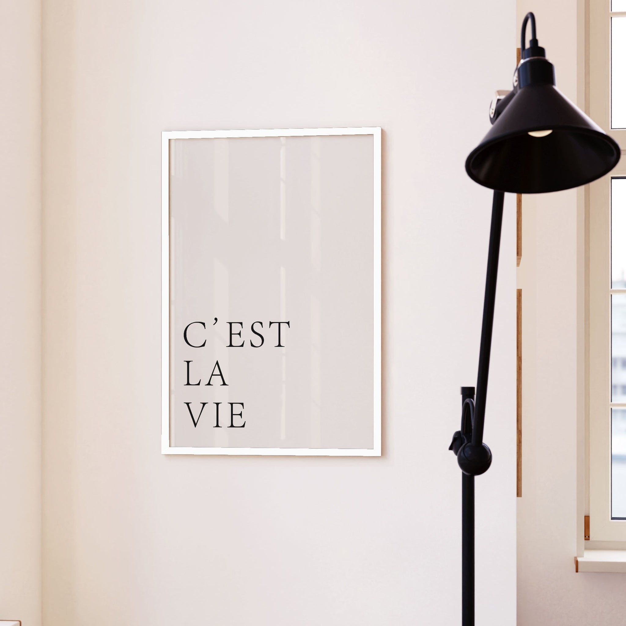 C'est La Vie, Motivational Poster