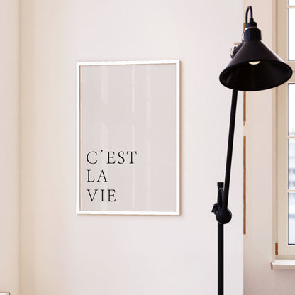 C'est La Vie, Motivational Poster
